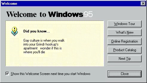 boîte de dialogue Windows95 : &ldquo;Did you know? Gay culture is when you walk into your Grindr hookup&rsquo;s apartment & wonder if this is where you die&rdquo;